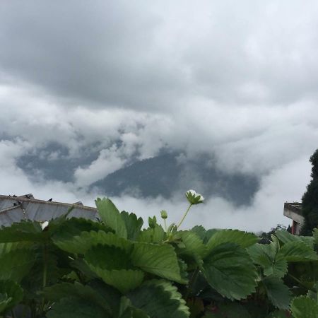 Benus Darjeeling (West Bengal) Exterior foto